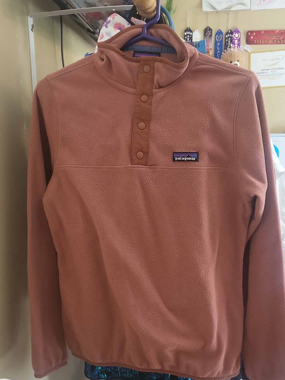 Patagonia  Snap-T Fleece Pullover - Nwot